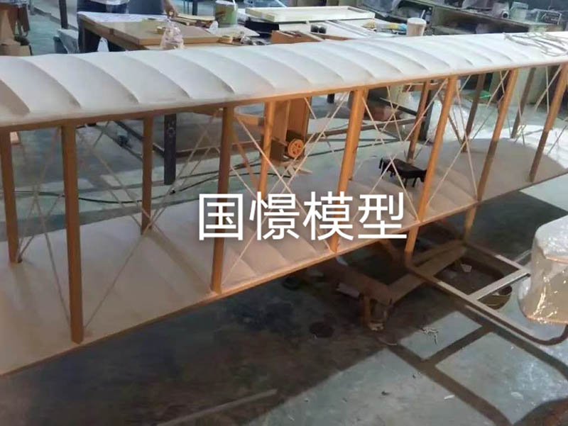 芦山县飞机模型