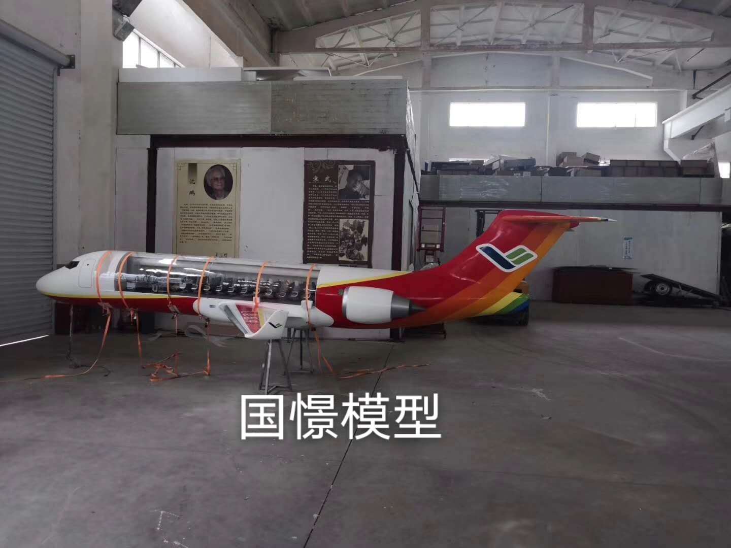 芦山县飞机模型